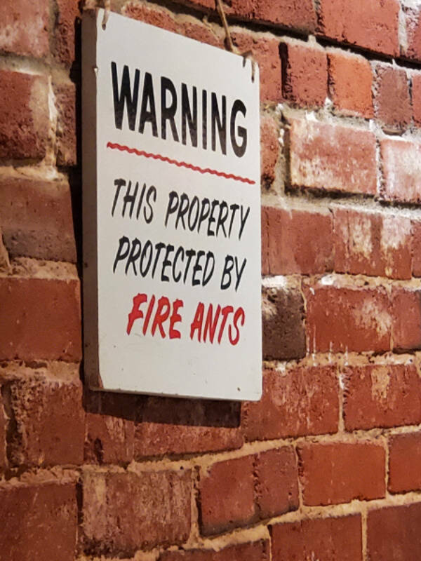 No Explanation, Just These WTF Photos