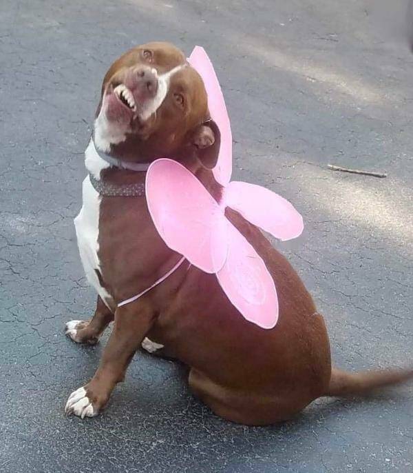 No Explanation, Just These WTF Photos