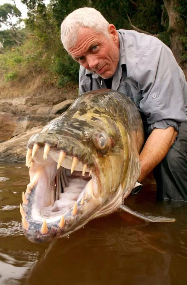 No Explanation, Just These WTF Photos