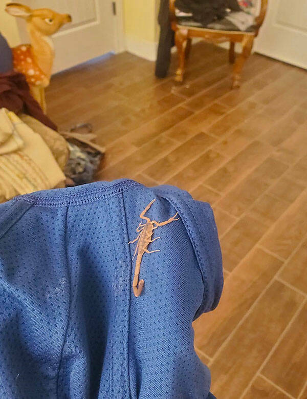 No Explanation, Just These WTF Photos