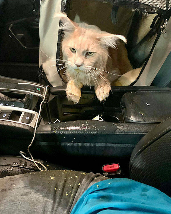 No Explanation, Just These WTF Photos