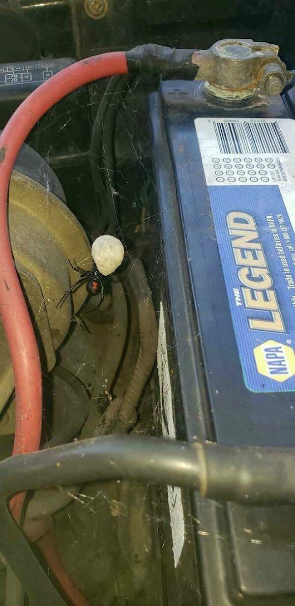 No Explanation, Just These WTF Photos