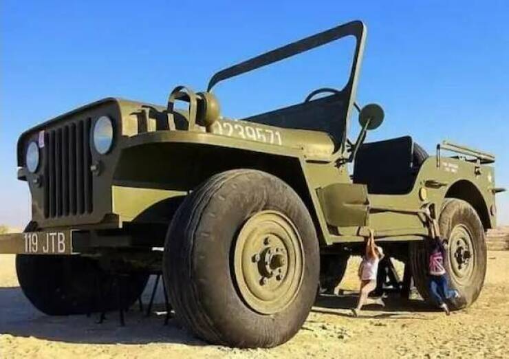 Daily Picdump Daily Picdump