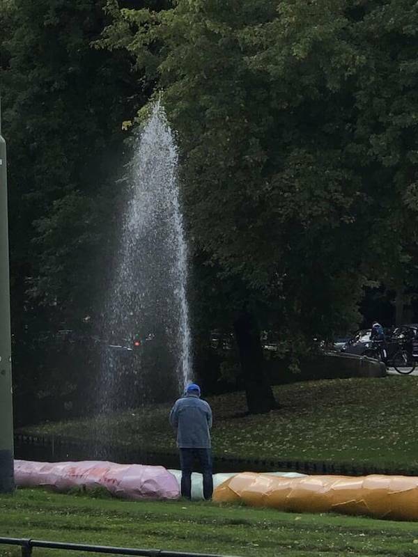 Daily Picdump Daily Picdump