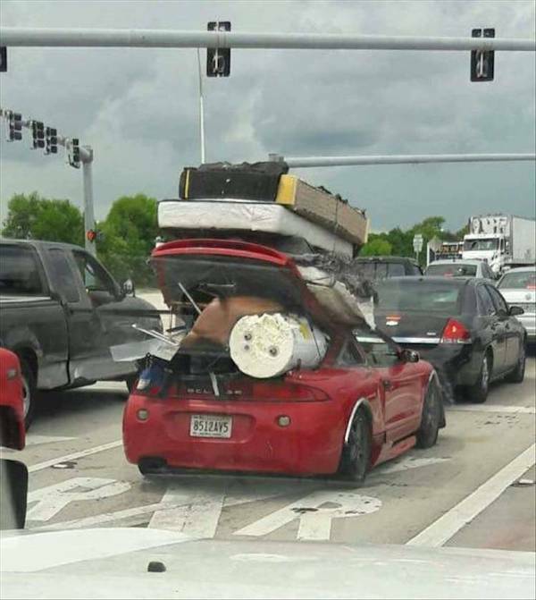 Daily Picdump Daily Picdump