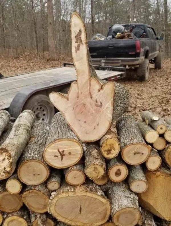 Daily Picdump Daily Picdump