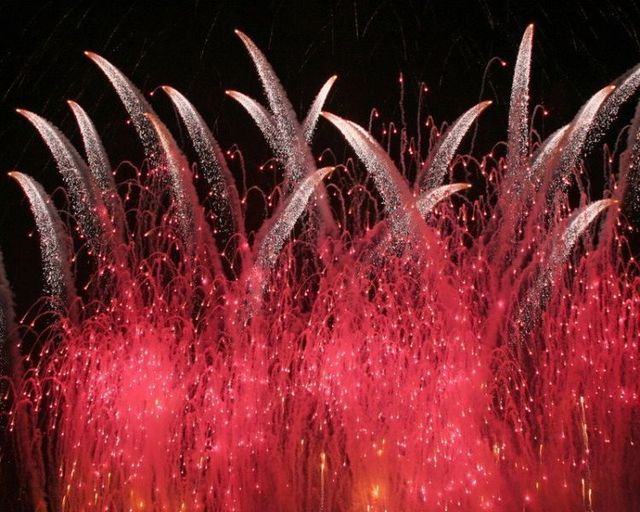 New Year’s fireworks (26 pics + 1 video)