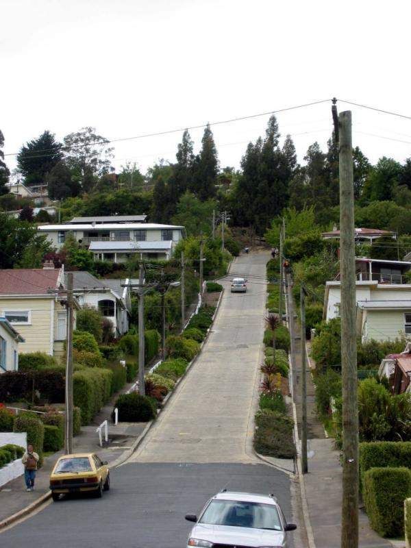 Baldwin street, the steepest street in the world (11 pics)