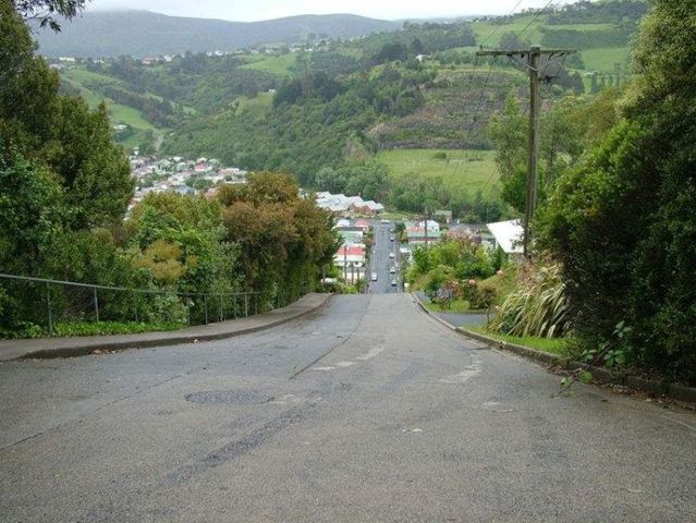 Baldwin street, the steepest street in the world (11 pics)