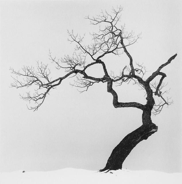 Silent Beauty from Michael Kenna (143 pics)