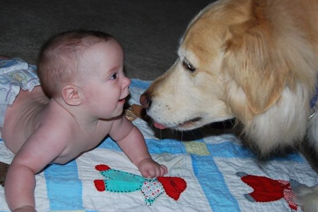 Positive emotions of the day! Children and dogs (36 pics)