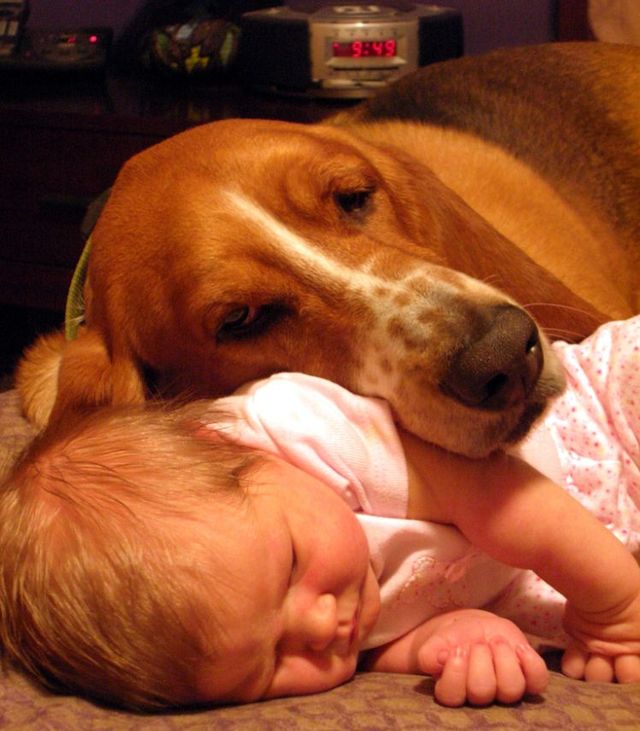 Positive emotions of the day! Children and dogs (36 pics)