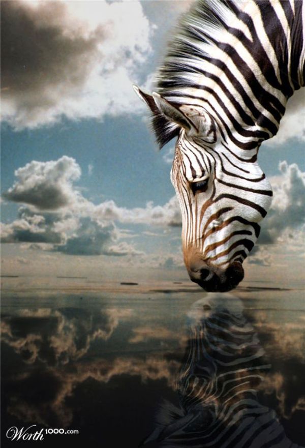 Cool montage “Reflections and shadows” (79 pics)