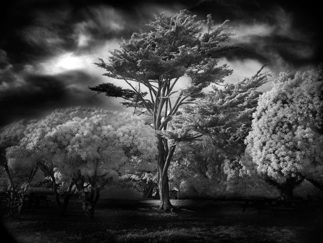 Amazing black and white pictures (62 pics)