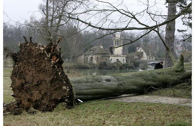 Fierce storm in Europe (17 pics)