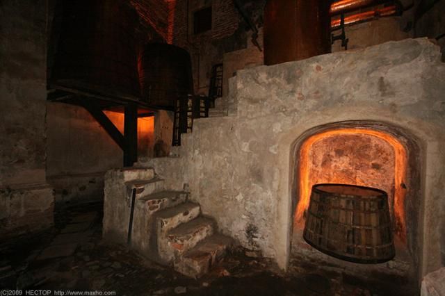 Old tequila distillery (16 pics)