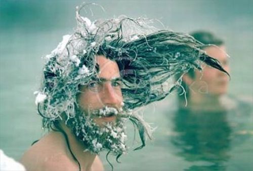 Frozen hair (20 pics)