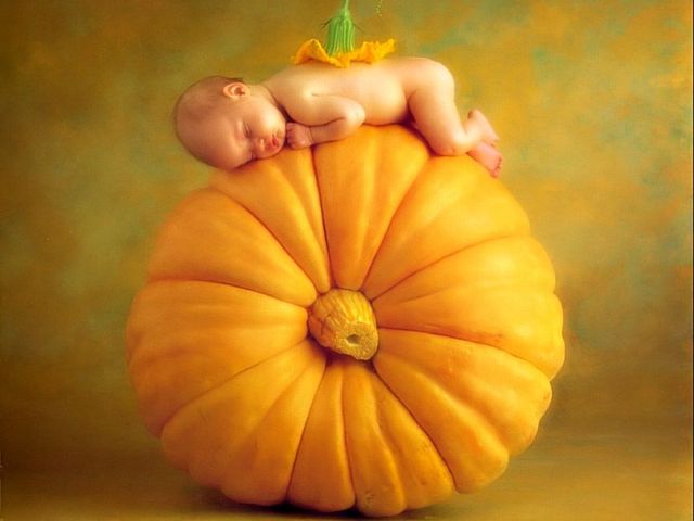 Anne Geddes and her baby pictures (111 pics)