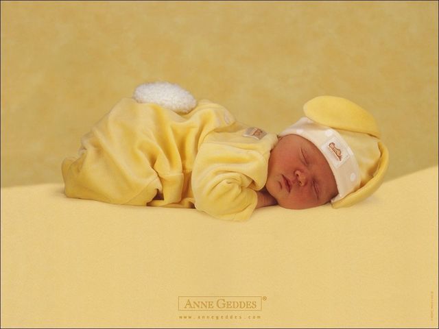 Anne Geddes and her baby pictures (111 pics)