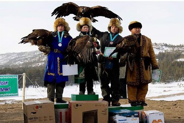 Falcon hunt in Kazakstan  (13 pics)