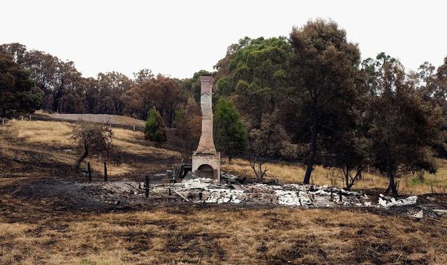Horrible bushfires in Australia (36 pics)