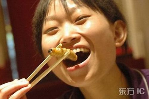 The most horrible food in the world (43 pics)