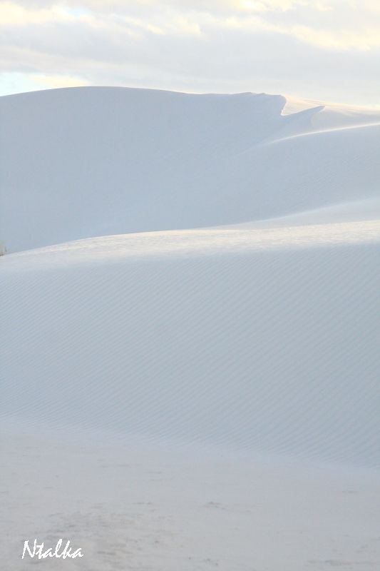White sands of New Mexico (17 photos)