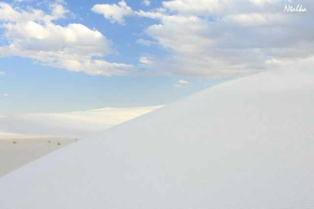 White sands of New Mexico (17 photos)