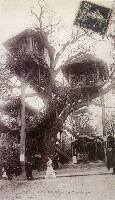 Tree houses (31 pics)