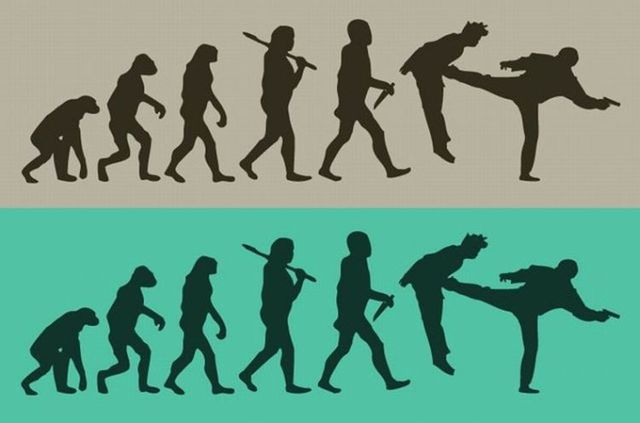 Evolution (48 pics)