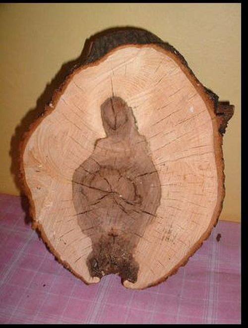Religious images on simple objects (44 pics)