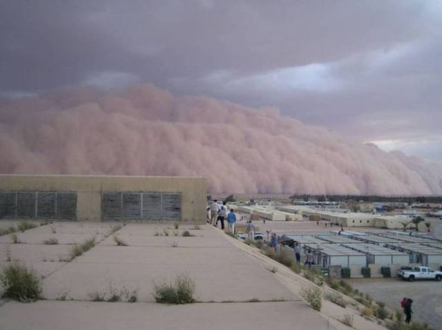Sandstorm (19 pics)