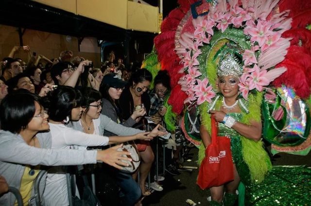 31st Gay and Lesbian Mardi Gras in Sydney (37 pics)