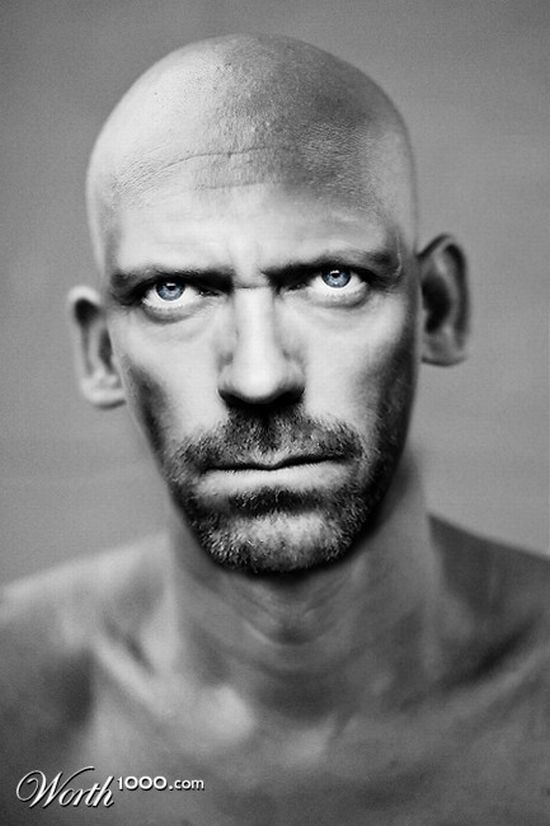 Bald celebs. Great photomontage (54 pics)