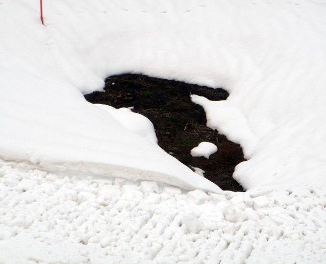 Where did the skier go? (3 pics)