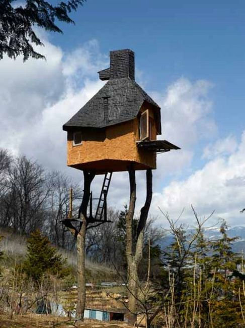 Tea-house on the trees (13 pics)