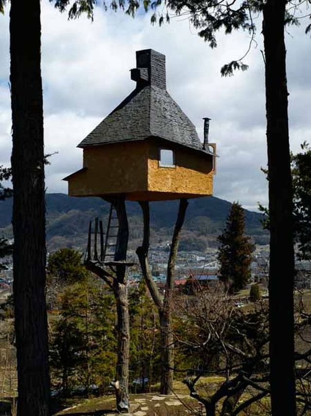 Tea-house on the trees (13 pics)