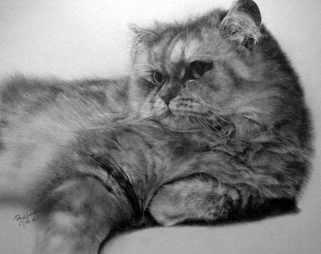 Another collection of great pencil drawings (13 pics)