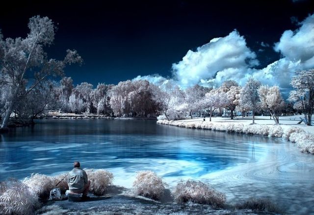 Amazing infrared pictures (38 pics)