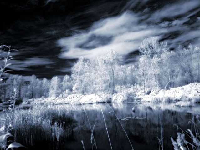 Amazing infrared pictures (38 pics)