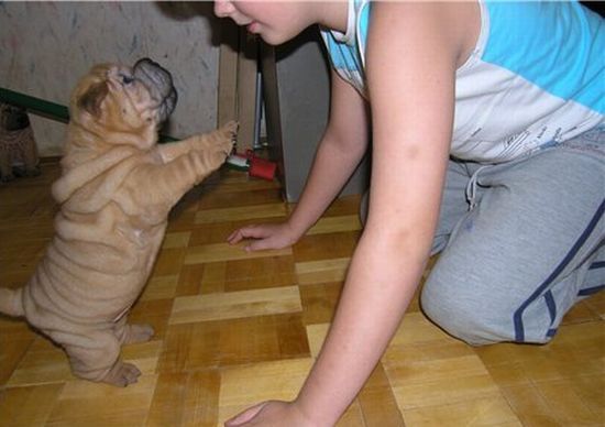 Positive emotions with “wrinkles” ;) (49 pics)