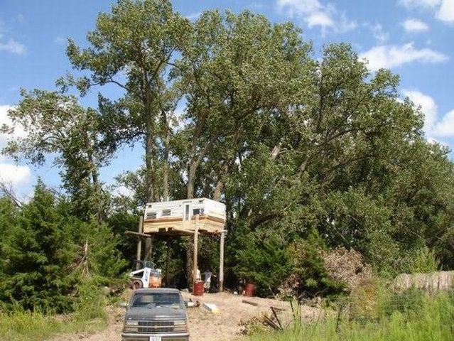 How to make a tree house  (10 photos)
