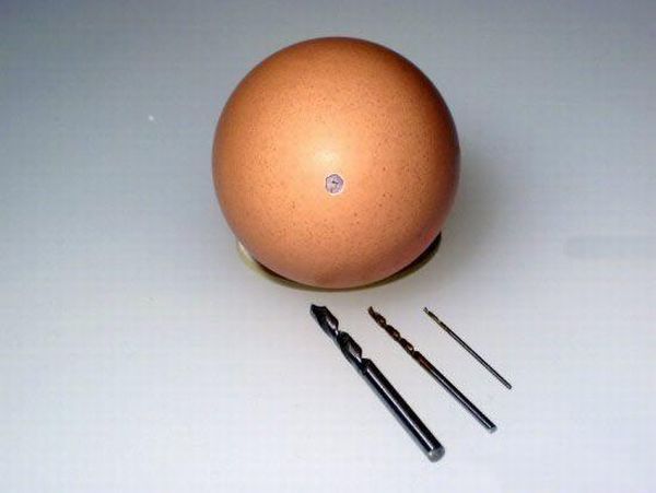 How to make an airship from a simple egg (28 photos)