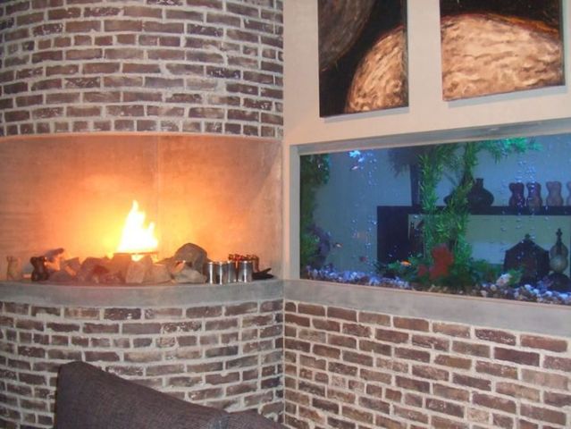 Five stars aquarium for the fish (50 pics)