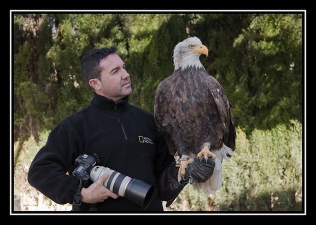 Flying with eagle (11 pics + 1 video)