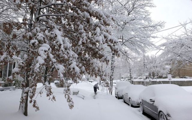 Snowfalls in March in the United States (36 pics)