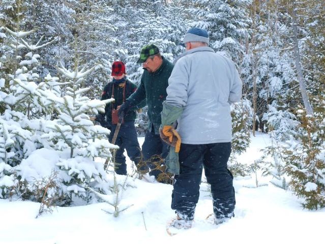 Maine Bear Monitoring 2009 (24 pics)