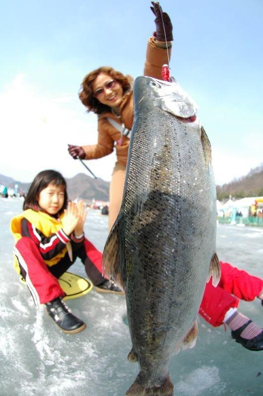 Ice Fishing Festival In South Korea (13 pics)