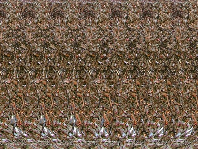 Stereograms To See Hidden 3d Images 30 Pics