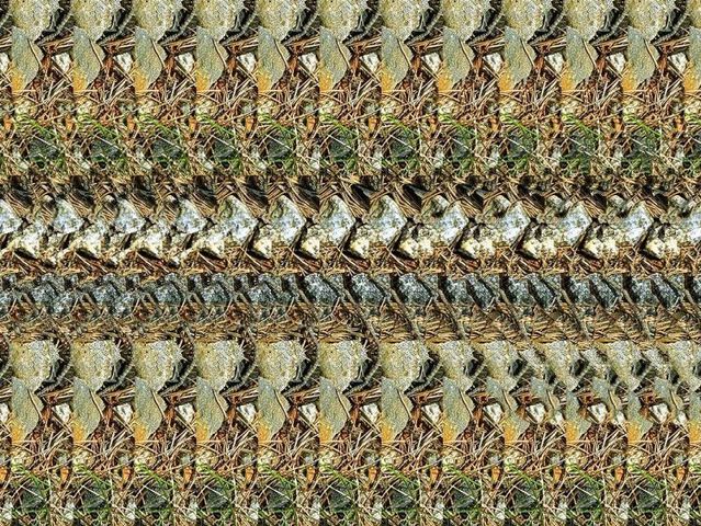 Stereograms to see hidden 3D images (30 pics)